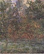 Claude Monet The Lemon Grove in Bordighera Spain oil painting artist